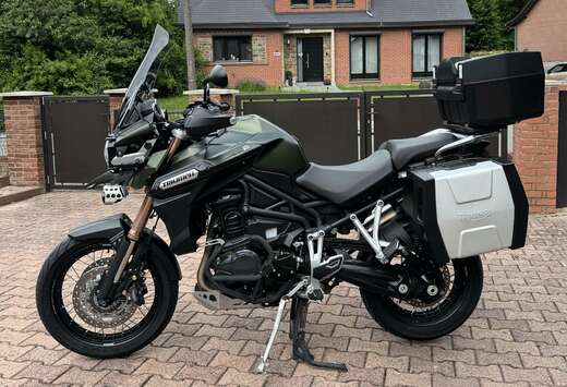Triumph XC