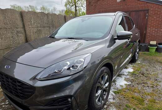 Ford Kuga 1.5 EcoBoost FWD ST-Line X (EU6d)