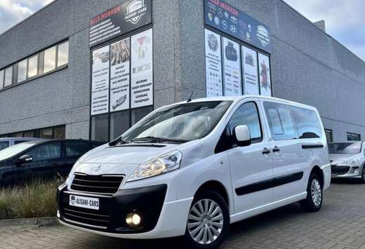 Peugeot HDI 110 lang verglast