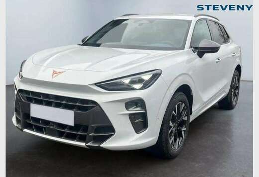 Terramar Business 1.5 eTSI 150ch (110kW) DSG 7v Mild  ...