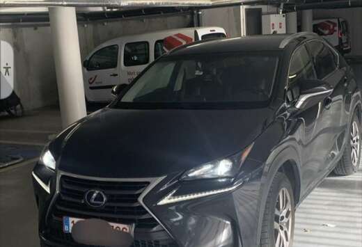 Lexus NX 300h 2.5i AWD Executive Line E-CVT