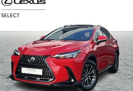 Lexus Executive Line