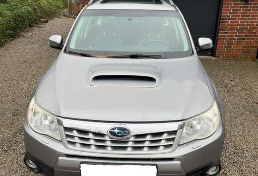 Subaru 2.0D luxury