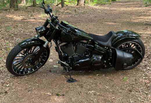 Harley-Davidson Breakout FXSB 2017 Full Custom