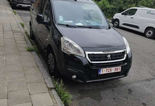 Peugeot 1.6 BlueHDi L1H1 Premium Pack 120 S/S