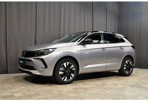 Opel Business-Elegance