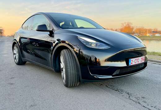 Tesla Model Y RWD