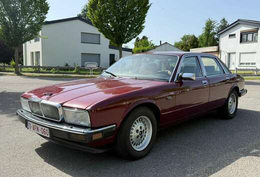 Jaguar Sovereign
