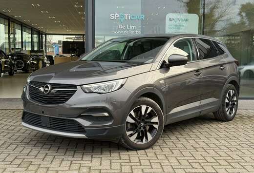 Opel Elegance 1.6T Plug-In Hybride 224pk *Navi*Camera ...