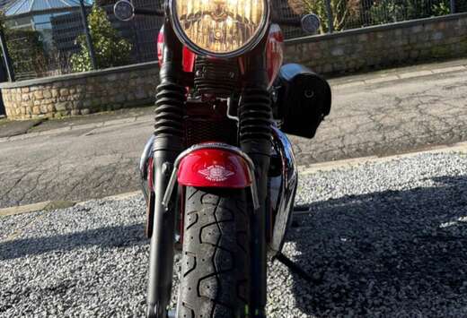Triumph Bud ekkins