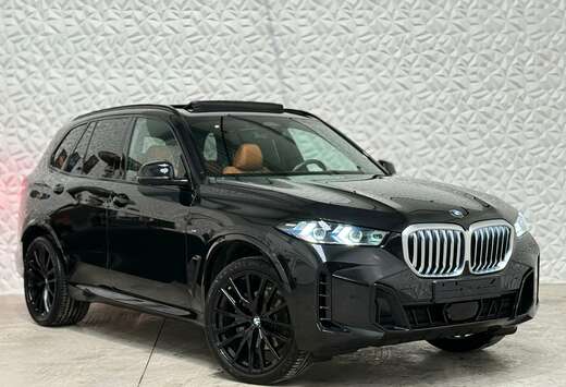 BMW 3.0d xDrive M-Pack / H&K / 360 / 22\