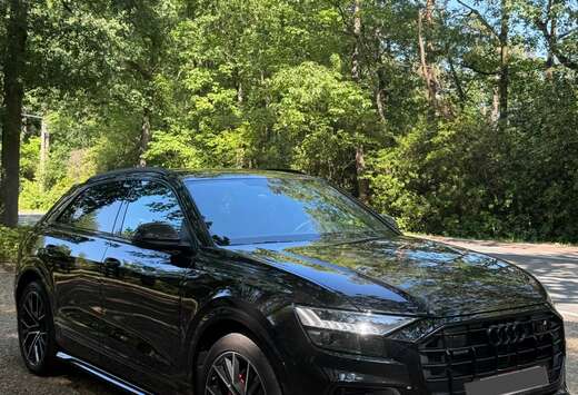 Audi SUV e-hybrid 55 TFSI e Quattro Tiptronic (290 kW ...
