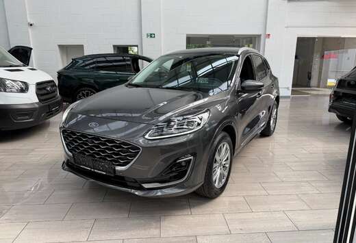 Ford Vignale PHEV AUT