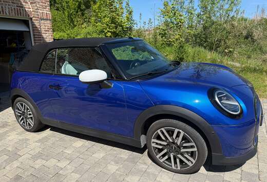MINI Big Love