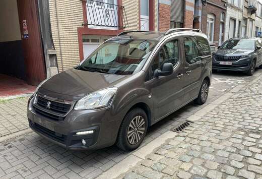 Peugeot Tepee Euro 6b