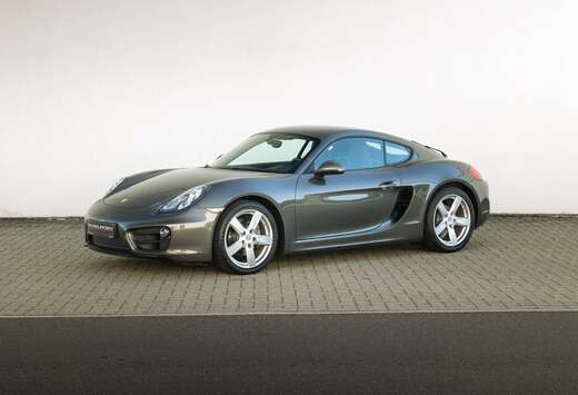 Porsche 981 / Eerste eigenaar - Sportstoelen - Cruise ...