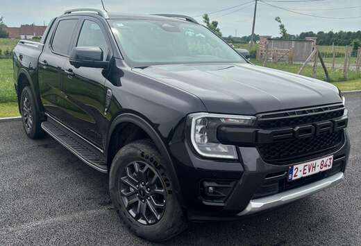 Ford 2.0 EcoBlue e-4WD Wildtrak