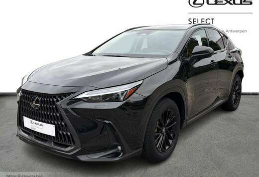Lexus Executive Line