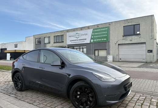 Tesla Model Y Dual Motor Long Range / 12 M Garantie