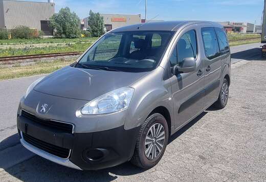 Peugeot Tepee 98 VTi Active