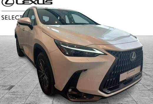 Lexus Executive