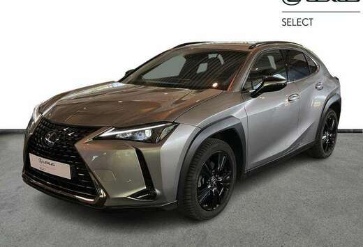 Lexus 184hp HEV Black Line | camera | carplay