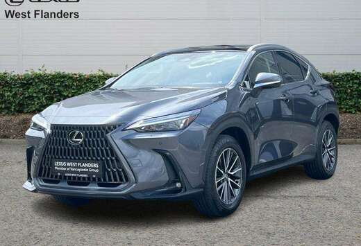Lexus Executive Line+360cam+navi+se