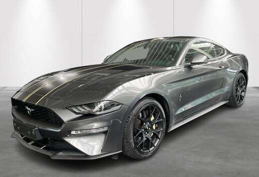 Ford 2.3i EcoBoost