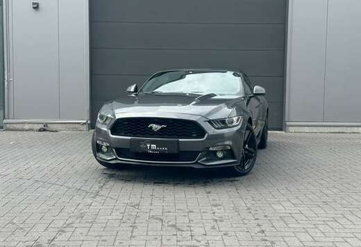 Ford Mustang 2.3 EcoBoost