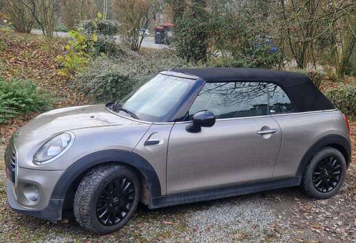 MINI Mini+Cabriolet+1.5+DA+Cooper