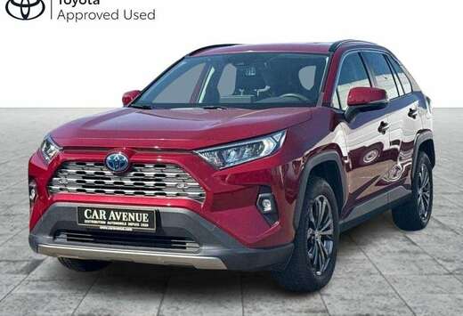 Toyota Dynamic plus