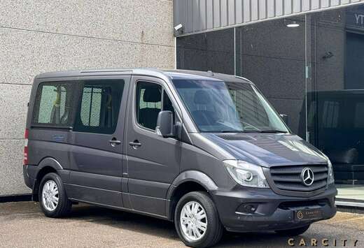 Mercedes-Benz Sprinter 316 CDI Bluetec.  AANGEPAST VO ...