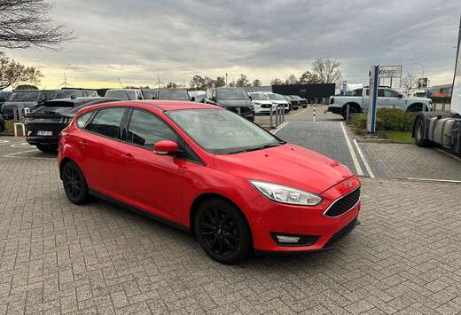 Ford Enkel voor professionele verkoop