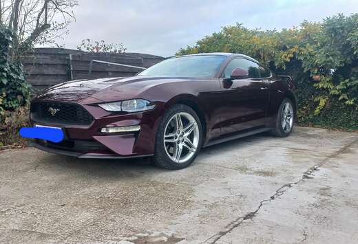 Ford Mustang 2.3 EcoBoost