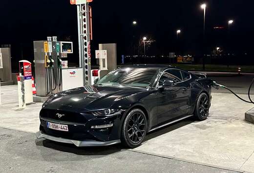 Ford Fastback 2.3 EcoBoost 290cv