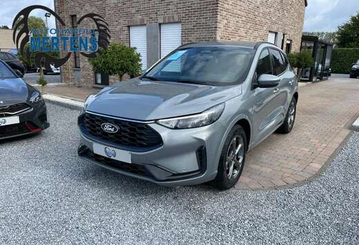 Ford NEW MODEL 1.5 ST-Line 186PK AUTOMAAT NIEUW 0KM