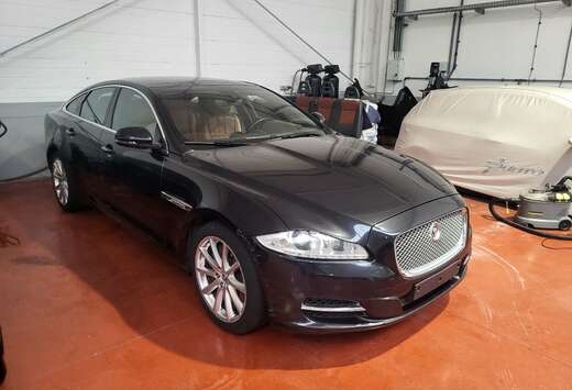 Jaguar LWB 3.0D V6 Premium Luxury - PROBLEME BOITE AU ...