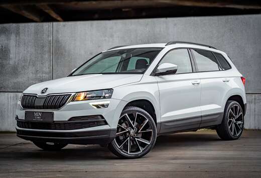Skoda FR*LOOK*1.5TSI