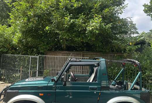 Suzuki 1.9 Turbo VX (2s)