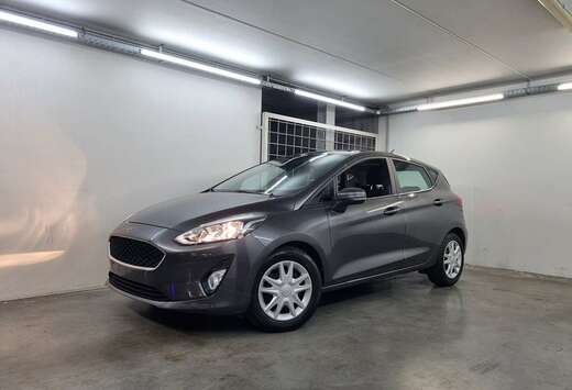 Ford EcoBoost Business Class - Pano dak