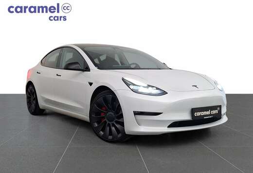 Tesla AUTO PILOT*PANO DAK*LEDER*360CAMERA+SENSOREN*GP ...