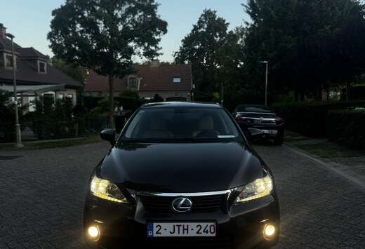 Lexus Dynamic Line