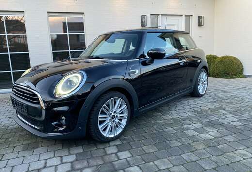 MINI Panoramisch dak - GPS - Led - Car Pass en Garant ...