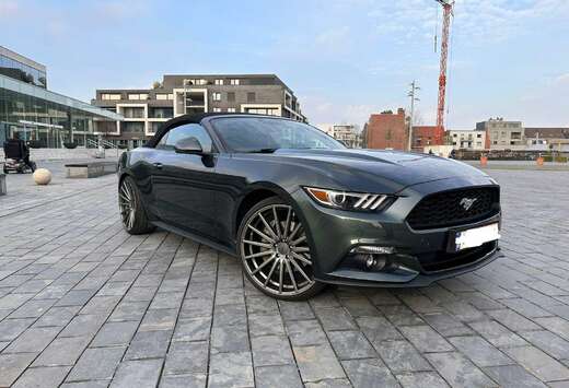 Ford Mustang Cabrio 2.3 Eco Boost