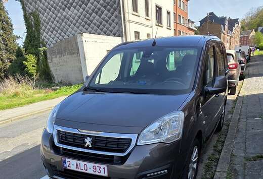 Peugeot Tepee 1.6 BlueHDi Active