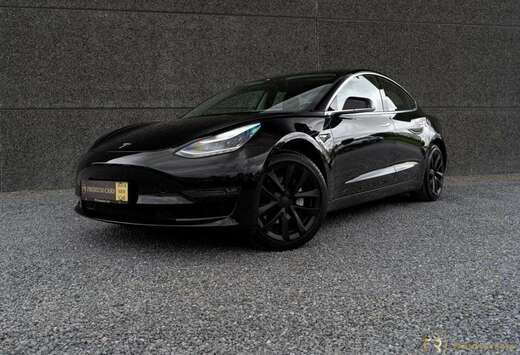 Tesla Standard Reichweite Plus Hinterradantrieb