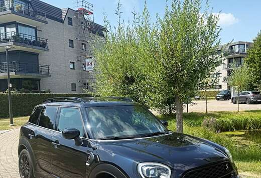 MINI S
