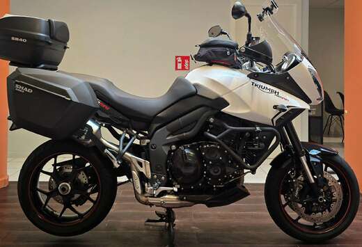 Triumph Sport