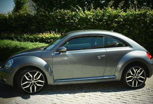 Volkswagen The Beetle 1.6 TDI DPF Design