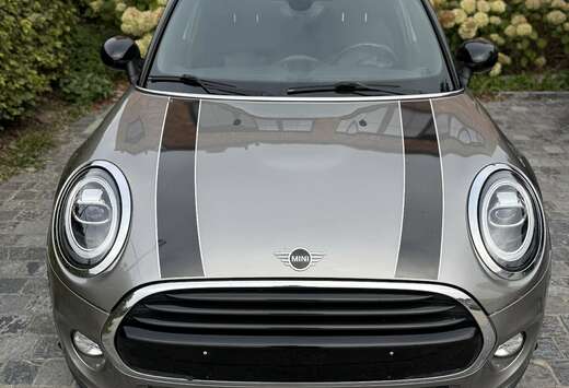 MINI Mini Cooper 60 Years Chili